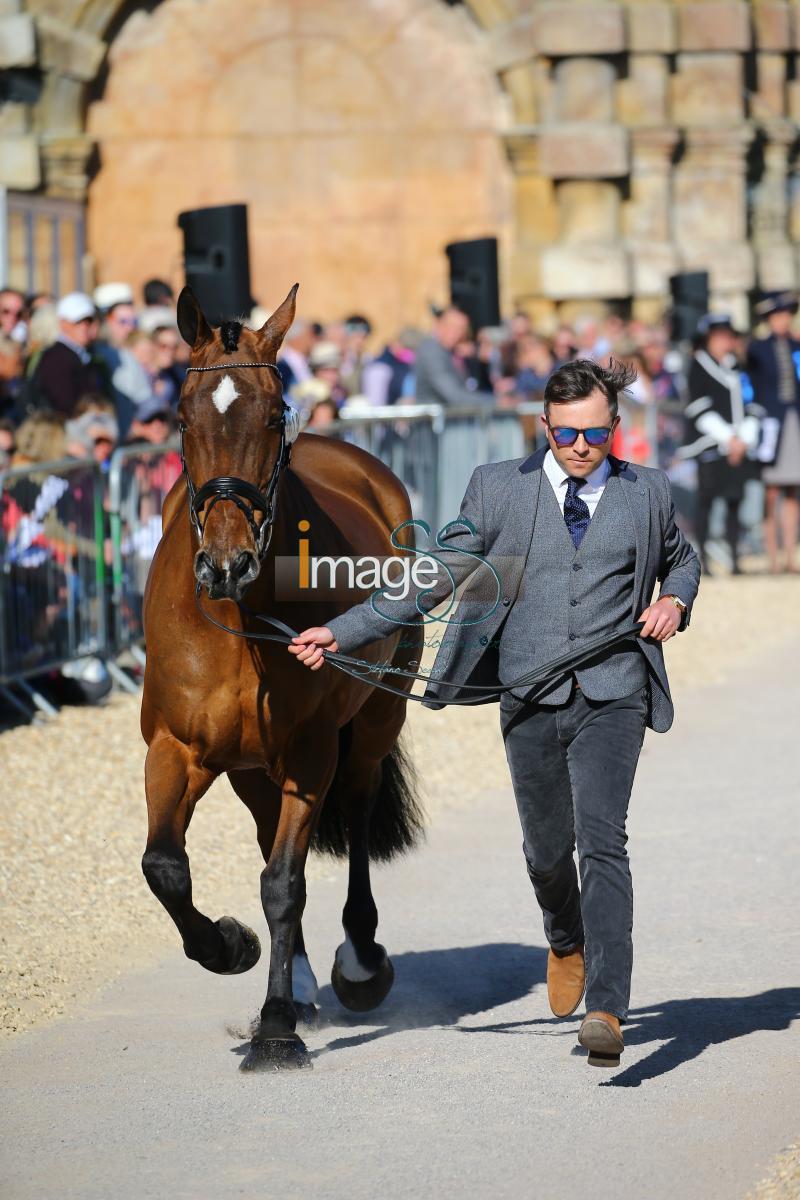 Hobday_Error_Badmington2018_SS7_3607.jpg