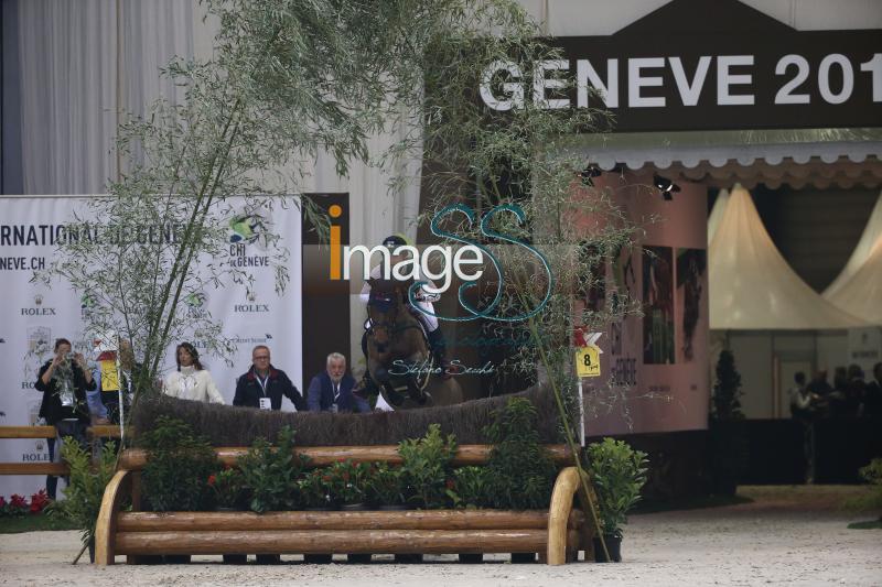 JUNG_Corazon_Geneve2017_SS7_2133.jpg