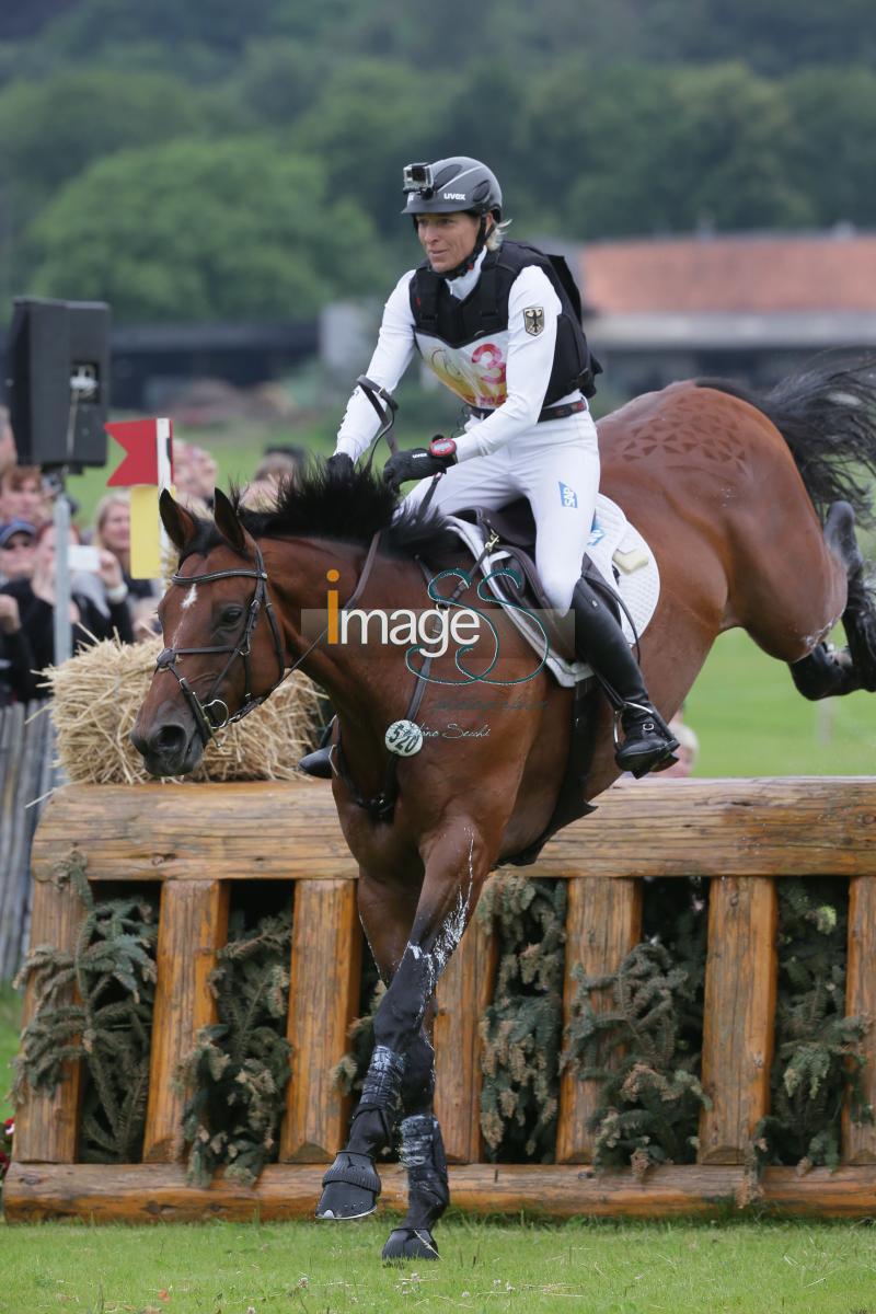 Klimke_Hale_Aachen2016_SS7_8568.jpg