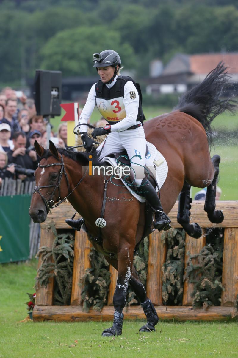 Klimke_Hale_Aachen2016_SS7_8569.jpg