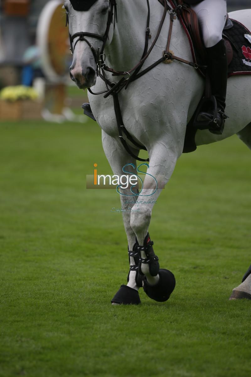 Kraut_Cavalia_Valkenswaard2016_SS7_7586.jpg