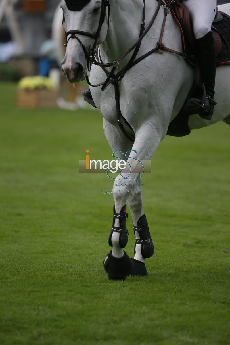 Kraut_Cavalia_Valkenswaard2016_SS7_7587.jpg