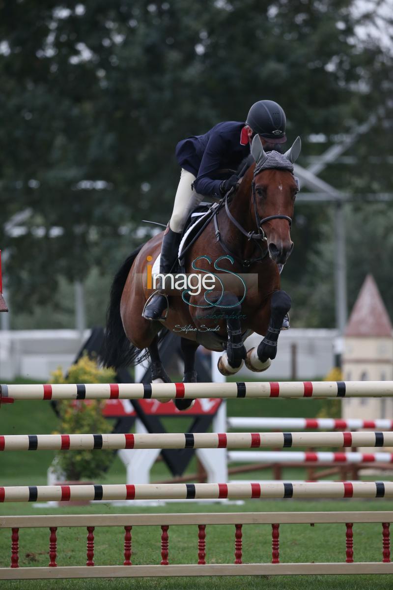 LOFFETT_FALLINE_EuVet2016_D48R8851.jpg