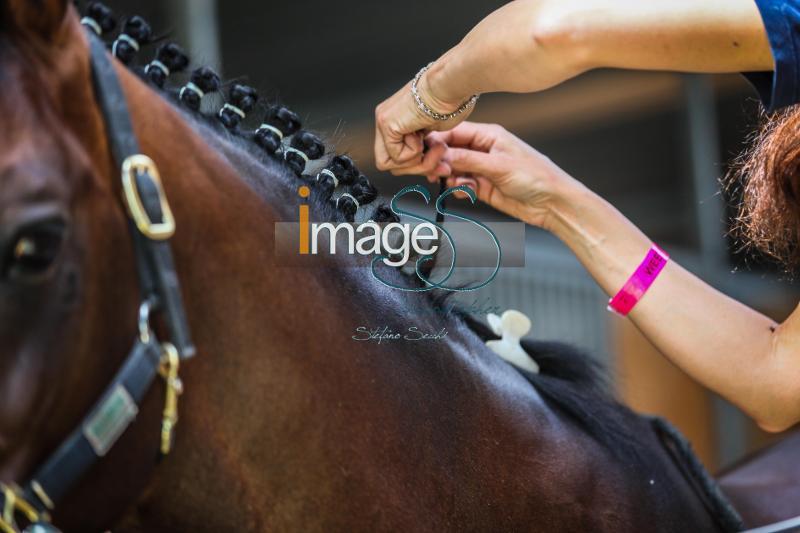 LoroPiana_Roma2016_IMG_5238.jpg