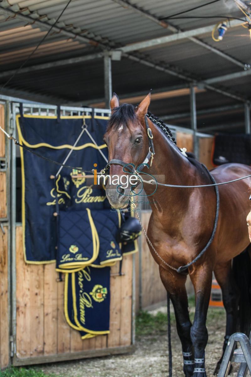 LoroPiana_Roma2016_IMG_5242.jpg