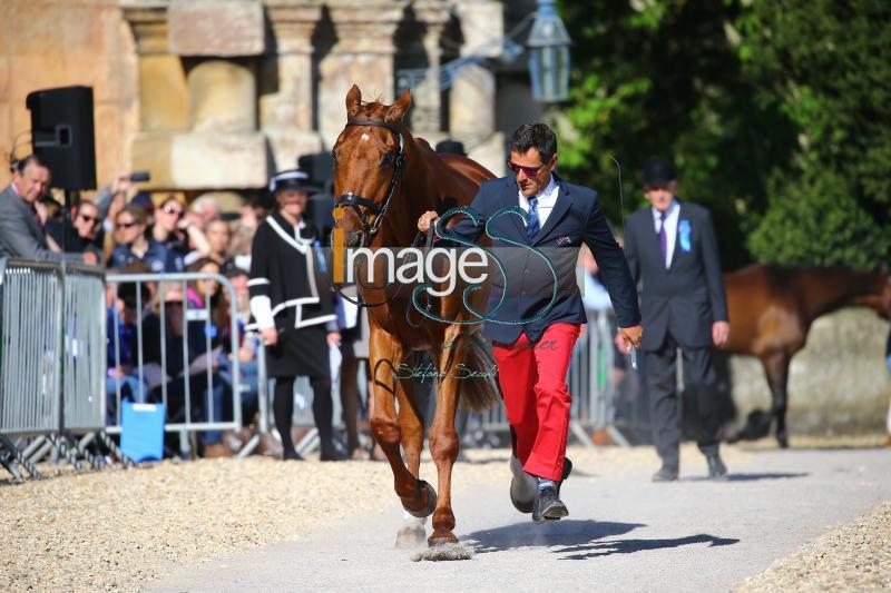 Lyard_Rouget_Badmington2018_SS7_4085.jpg