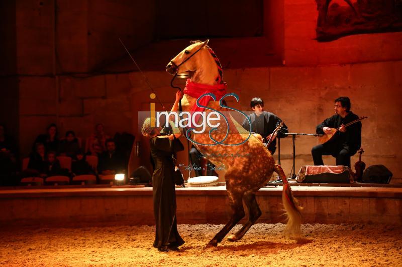 Metamorphosies_Chantilly2017_SS7_1312.jpg