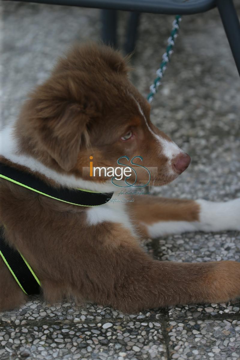 Mix_Etrea2016_SS7_2041.JPG