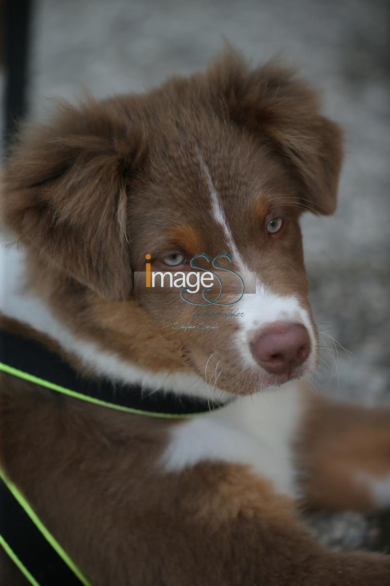 Mix_Etrea2016_SS7_2055.JPG