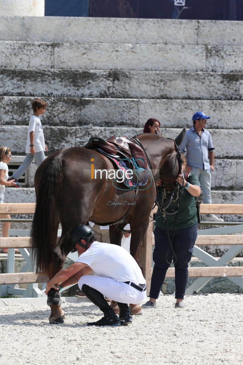 Mix_Roma2016LGCT_D48R7632.jpg