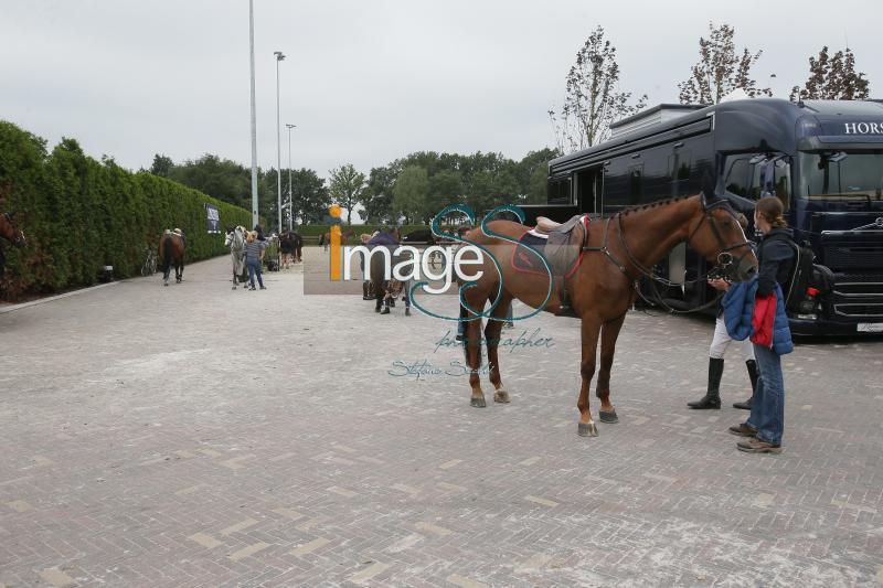 Mix_Valkenswaard2016_SS7_8537.jpg