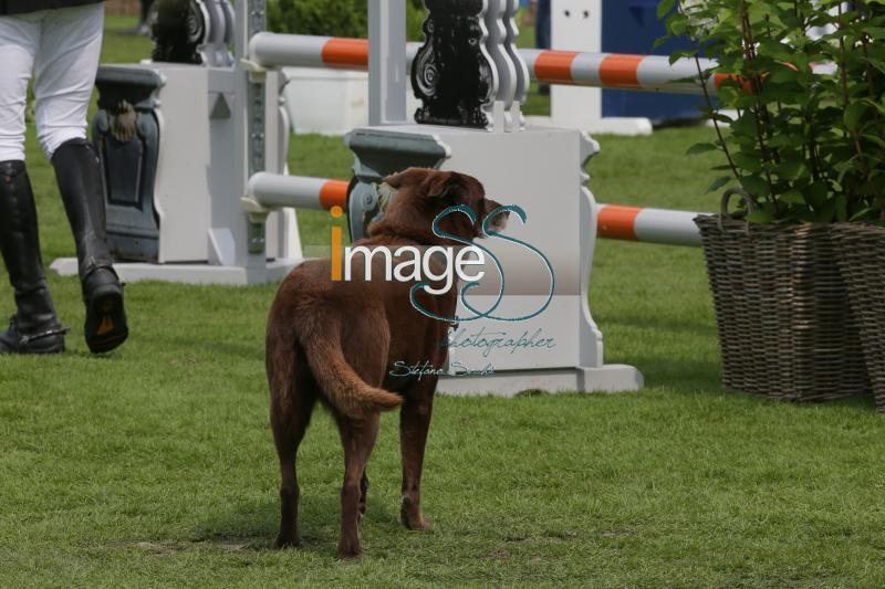 Mix_Valkenswaard2016_SS7_8900.jpg