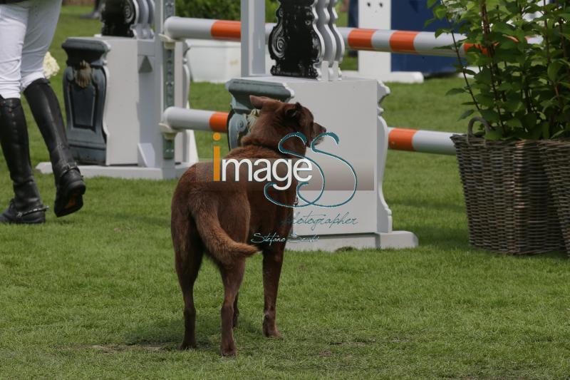 Mix_Valkenswaard2016_SS7_8901.jpg