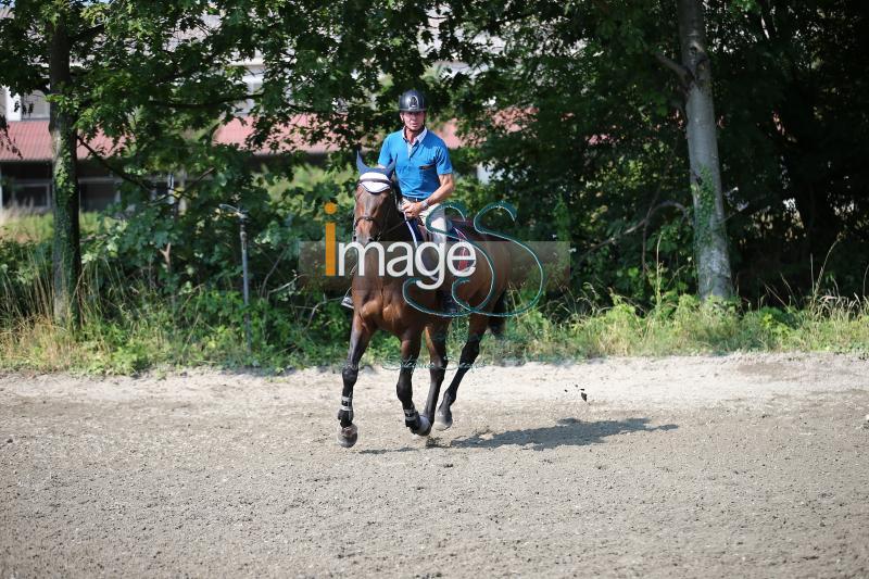 Moyersoen_2017_SS7_7640.jpg