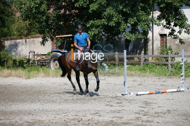 Moyersoen_2017_SS7_7663.jpg