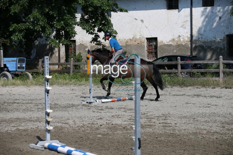 Moyersoen_2017_SS7_7680.jpg