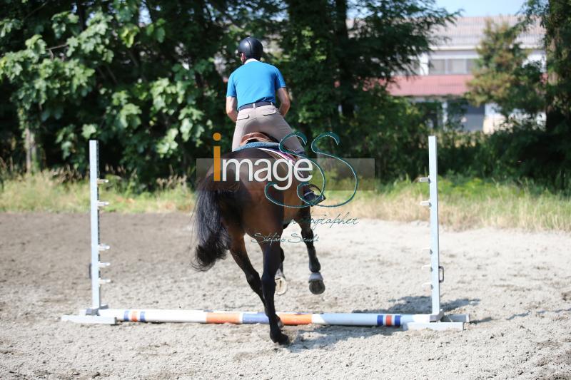 Moyersoen_2017_SS7_7717.jpg