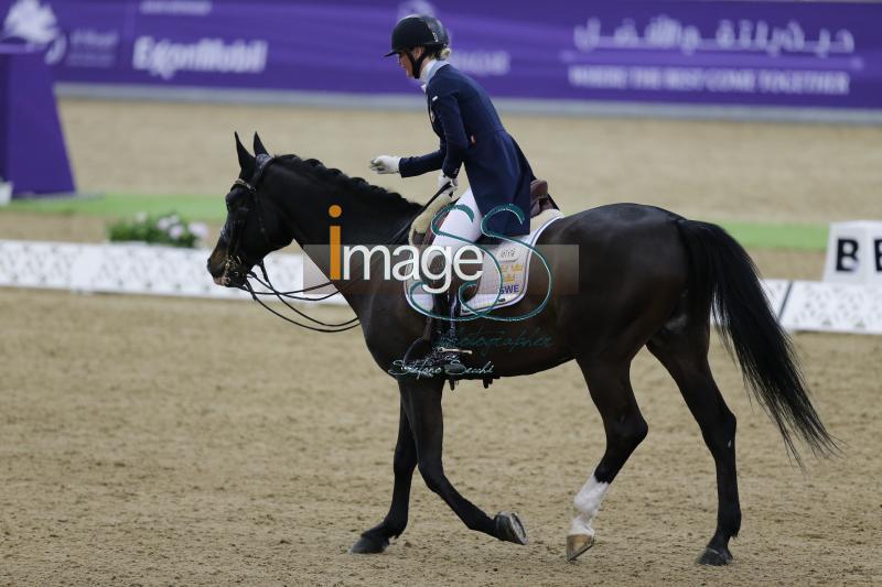 Oldfors_Mickey_Doha2019__S3_9445.jpg