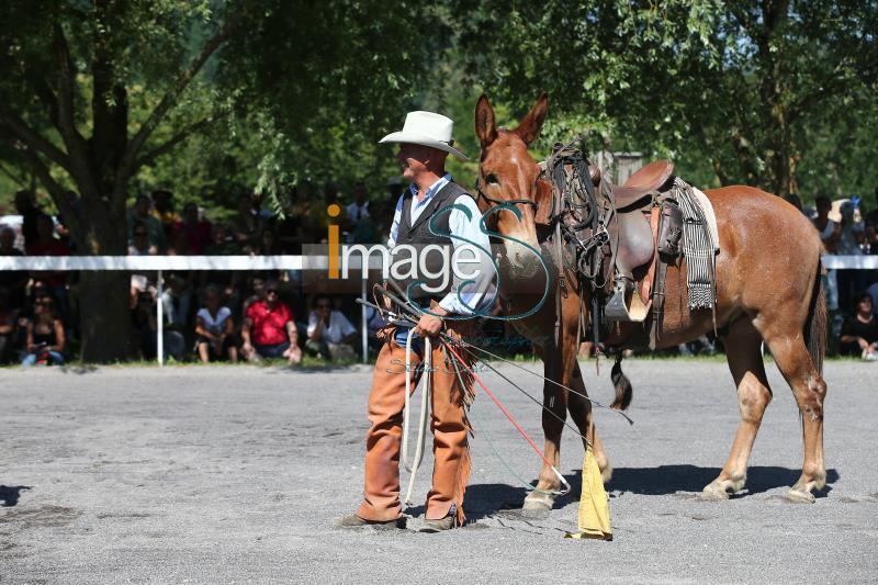 Pagliai_2017_SS7_8432.jpg