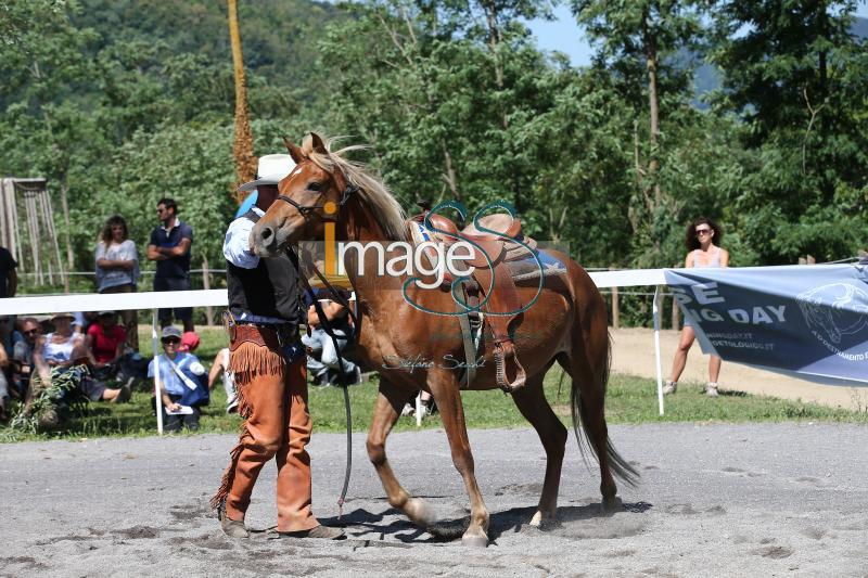 Pagliai_2017_SS7_8524.jpg