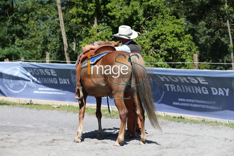 Pagliai_2017_SS7_8555.jpg