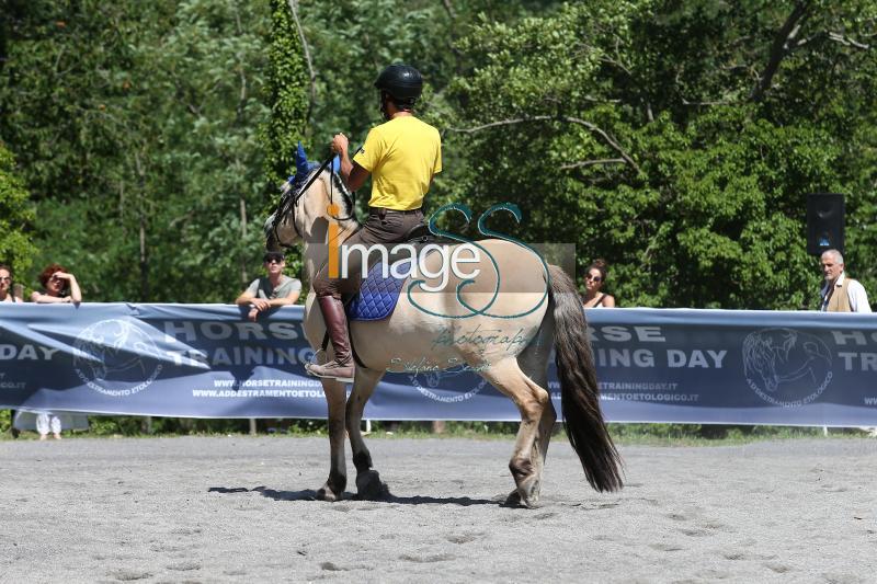 Pagliai_2017_SS7_8625.jpg