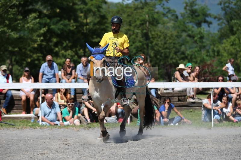 Pagliai_2017_SS7_8647.jpg