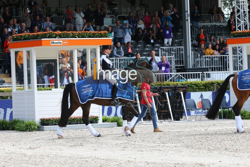 Podium_Dressage_Rotterdam2019_SS7_4130.jpg