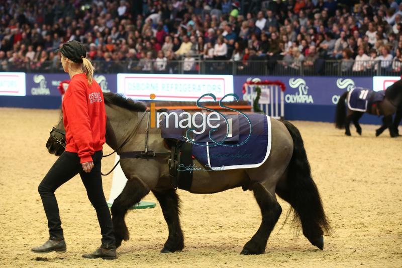 PonyGrandNational_London2016_SS7_3970.JPG