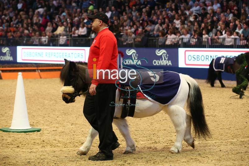 PonyGrandNational_London2016_SS7_3971.JPG