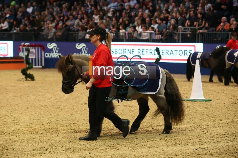 PonyGrandNational_London2016_SS7_3972.JPG