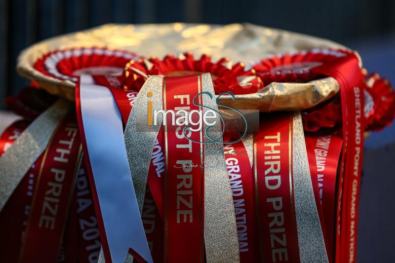 PonyGrandNational_London2016_SS7_3973.JPG