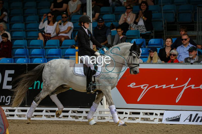 SELLERIA_EQUIPE_Amburgo2019_SS7_7124.jpg