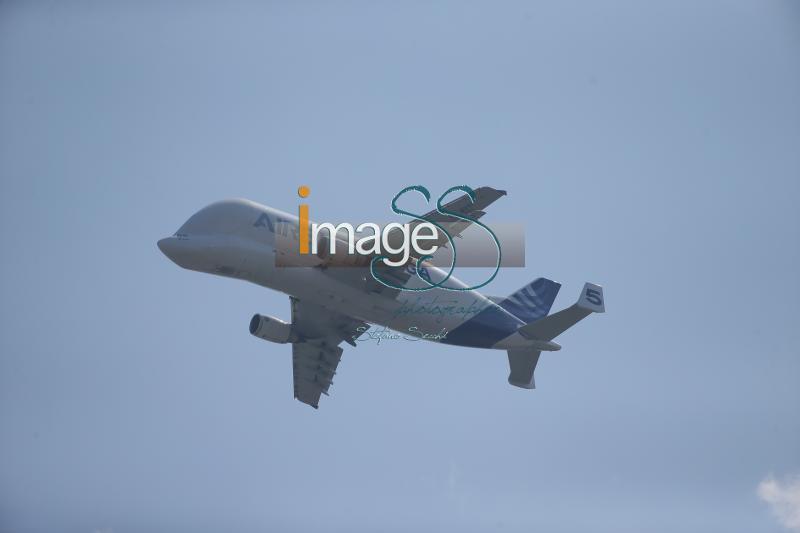 SS7_4337.jpg