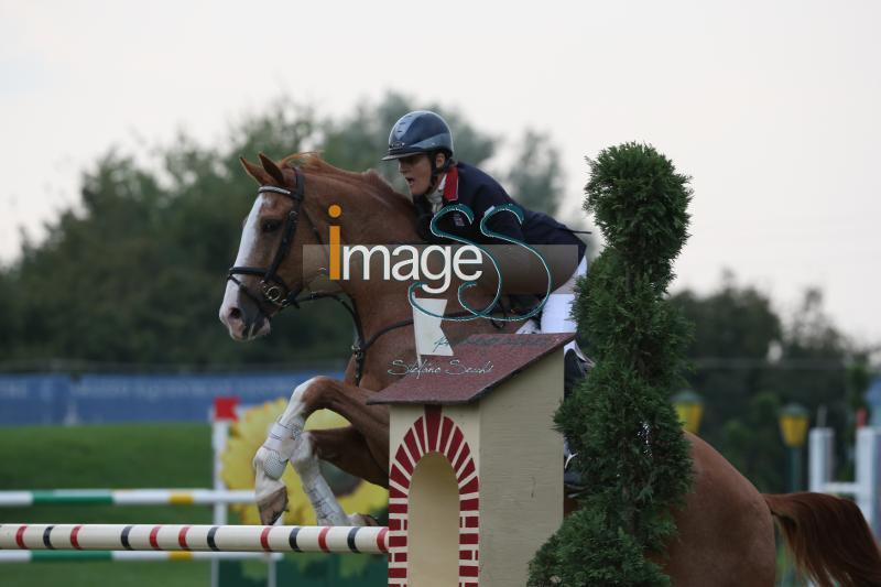 SWIERS_MILLFIELD_EuVet2016_D48R8909.jpg