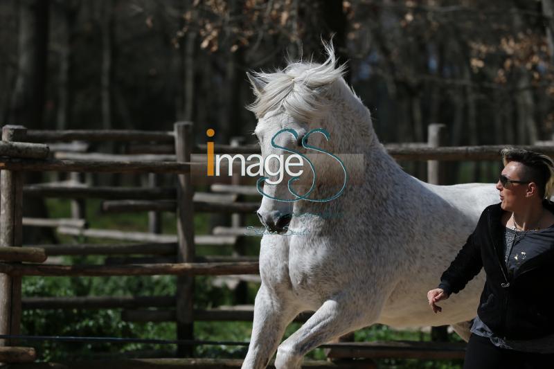 Spagnolo_SS7_5293.jpg