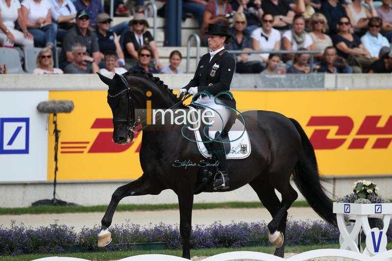 WERTH_Weihegold_Aachen2017_SS8_9284.jpg