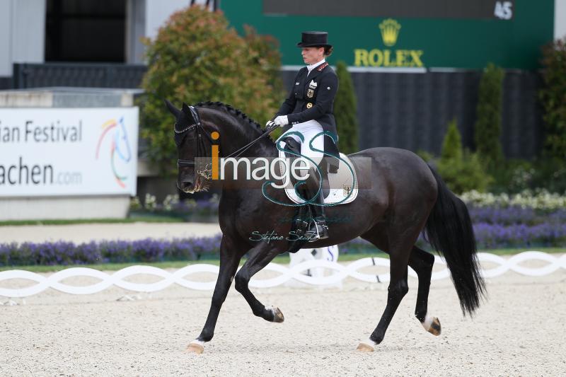 WERTH_Weihegold_Aachen2017_SS8_9323.jpg