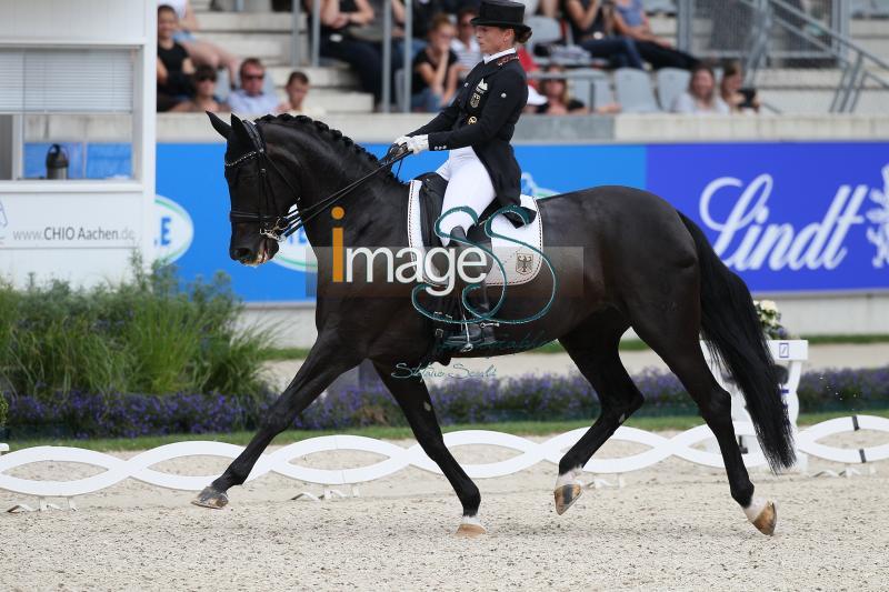WERTH_Weihegold_Aachen2017_SS8_9326.jpg