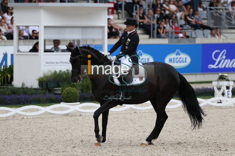 WERTH_Weihegold_Aachen2017_SS8_9383.jpg