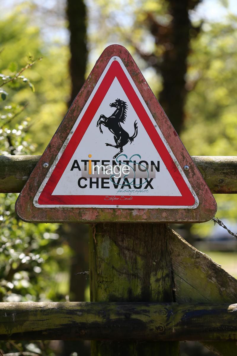 WOW_France2017_SS7_6181.jpg