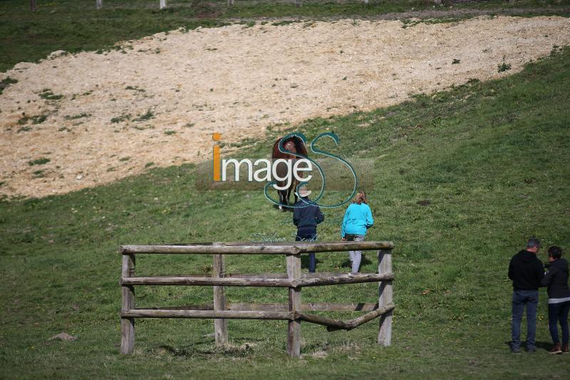 WOW_France2017_SS7_6801.jpg