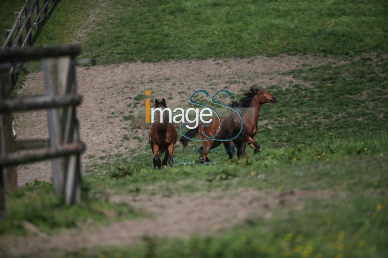 WOW_France2017_SS7_7272.jpg