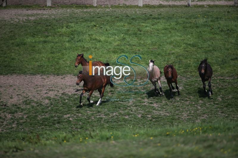 WOW_France2017_SS7_7278.jpg