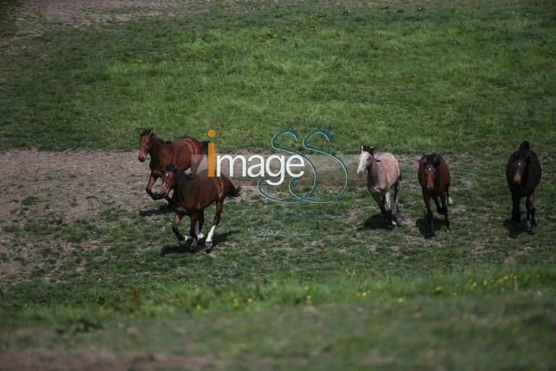 WOW_France2017_SS7_7283.jpg