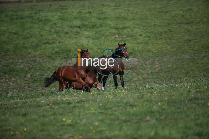 WOW_France2017_SS7_7303.jpg