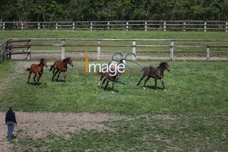 WOW_France2017_SS7_7495.jpg