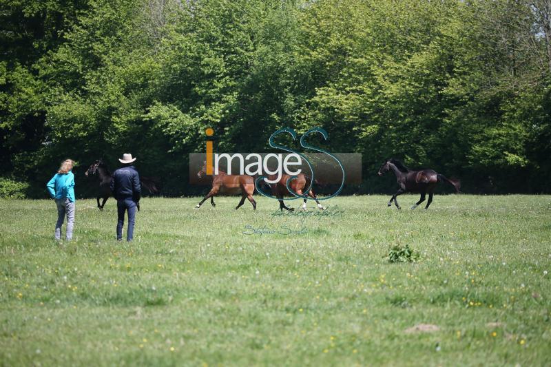 WOW_France2017_SS7_8082.jpg