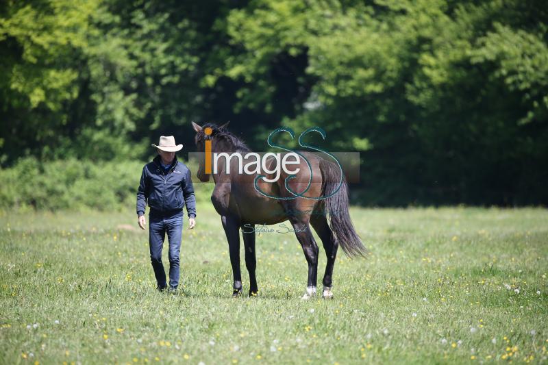 WOW_France2017_SS7_8276.jpg