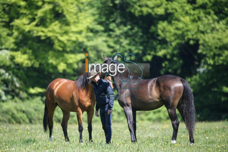 WOW_France2017_SS7_8302.jpg